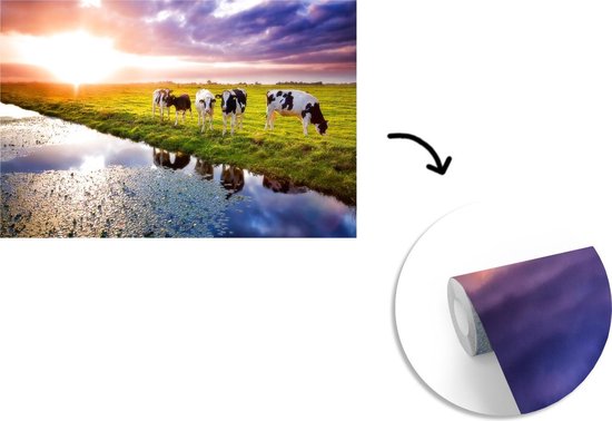 Behang - Fotobehang Koeien tijdens een zonsondergang - Breedte 420 cm x hoogte 280 cm