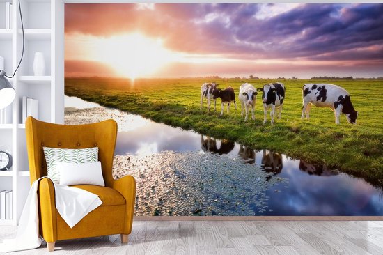 Behang - Fotobehang Koeien tijdens een zonsondergang - Breedte 420 cm x hoogte 280 cm