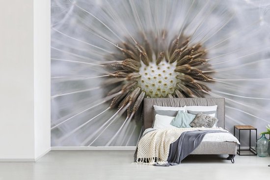 Papier peint photo peint vinyle - Il manque quelques graines de pissenlit largeur 525 cm x hauteur 350 cm - Tirage photo sur papier peint (disponible en 7 tailles)
