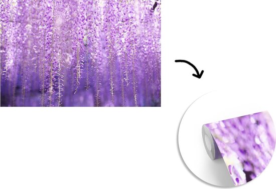 Papier fotobehang glycine fanée