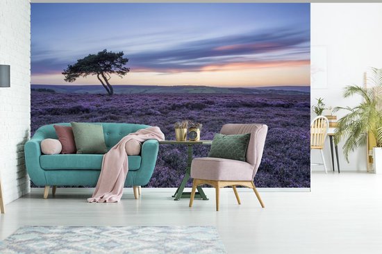 Papier peint photo peint photo vinyle - Arbre dans la bruyère largeur 330 cm x hauteur 220 cm - Tirage photo sur papier peint (disponible en 7 tailles)