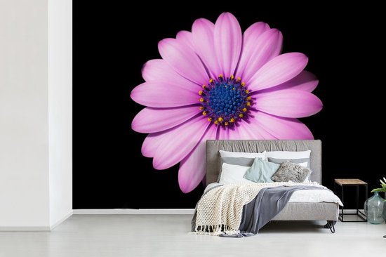 Papier peint Papier peint photo en vinyle - Marguerite rose sur fond noir largeur 420 cm x hauteur 280 cm - Tirage photo sur papier peint (disponible en 7 tailles)