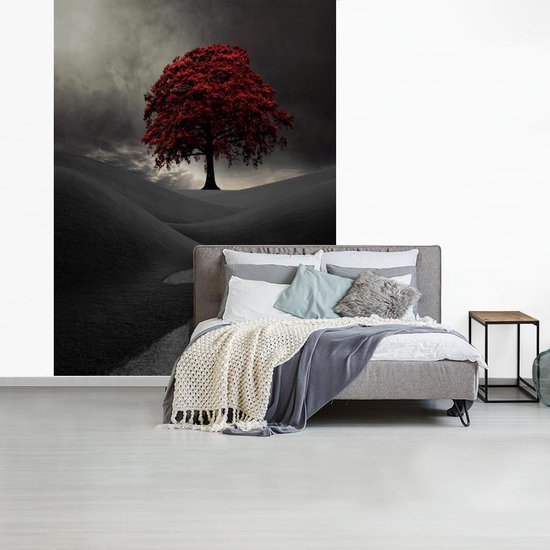 Papier peint vinyle - Une photo noir et blanc avec un grand arbre rouge largeur 190 cm x hauteur 260 cm - Tirage photo sur papier peint (disponible en 7 tailles)