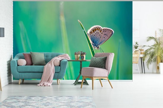 Papier peint photo peint photo vinyle - Papillon sur brin d'herbe largeur 330 cm x hauteur 220 cm - Tirage photo sur papier peint (disponible en 7 tailles)