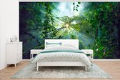 Behang - Fotobehang De zon schijnend door de bossen van een regenwoud in Maleisië - Breedte 500 cm x hoogte 280 cm