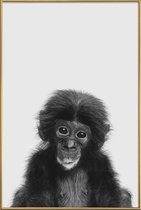 JUNIQE - Poster met kunststof lijst Bonobo Classic -20x30 /Wit & Zwart