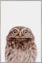 JUNIQE - Poster met kunststof lijst Owl -13x18 /Bruin