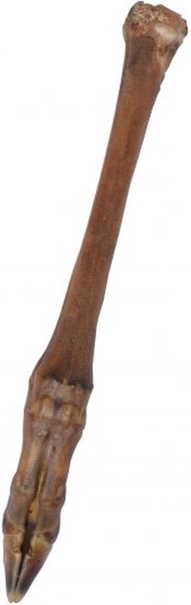 Wielink 10x Ree-pootjes