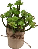 Gifts Amsterdam Kunstplant Peperomia 19 Cm Zijde Groen