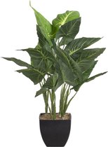Passion for Deco Kunstplant Kunstplanten - Kunstplantjes - Dieffenbachia Kamerplant Groen - Fijne Lijn - Nepplanten voor binnen - Alle seizoenen - 58 cm hoog