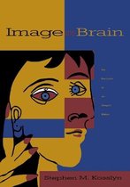 Image & Brain - The Resolution Of The Imagery Debate (Paper)