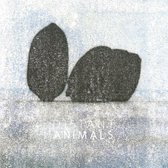 Distant Animals - Lines (LP)