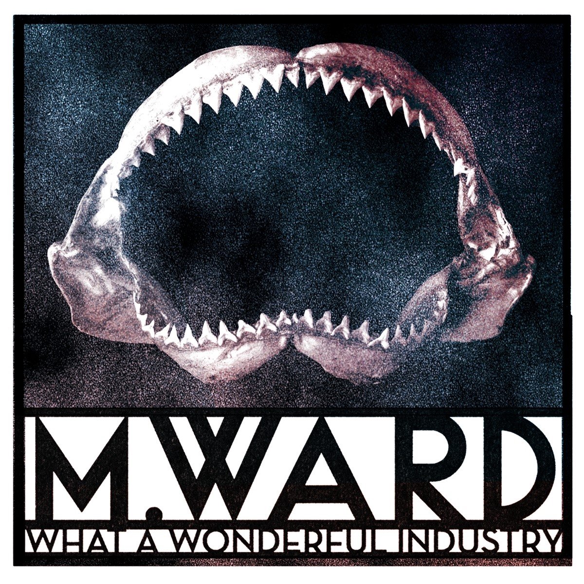 M. Ward - What A Wonderful Industry (LP) (Coloured Vinyl)
