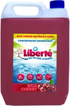 Geurverwijderaar - Liberté All in One Cleaner - Desinfectie - Dieren - Huis - Auto - Kantoor - Schoonmaakmiddel - 5L - Wild Cherry