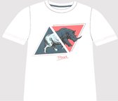 Freeks T-shirt - neushoorn - maat 140/146