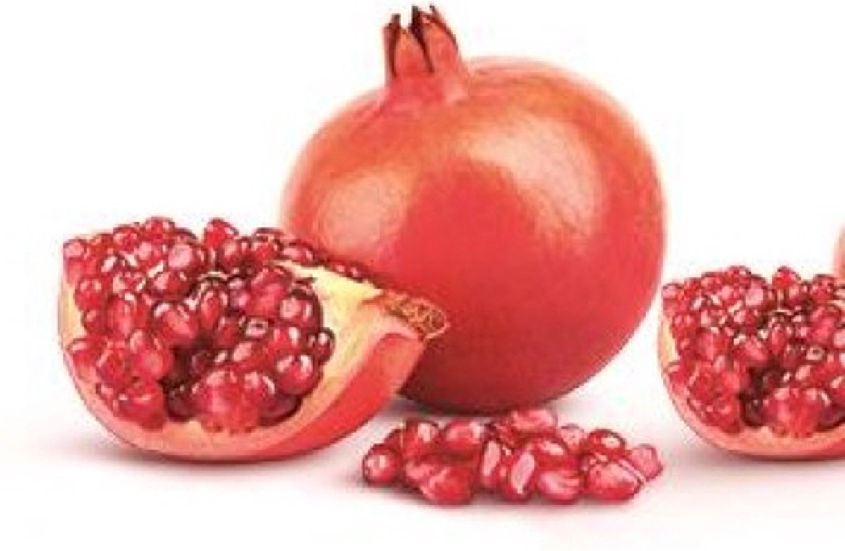 Bolsius 48 stuks Bolsius wax melts granaatappel - pomegranate geur (25 uur) rood