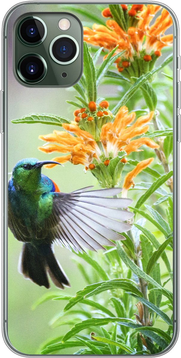Telefoonhoesje Geschikt voor iPhone 11 Pro hoesje - Close-up van een kleurrijke vogel naast planten met oranje bloemen - Siliconen Telefoonhoesje Telefoonhoesje