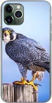 Geschikt voor iPhone 11 Pro hoesje - Close-up van een roofvogel op een dikke houten paal - Siliconen Telefoonhoesje