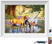 Artstudioclub®  Diamond painting volwassenen 30*40cm  paarden