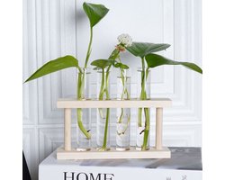 foto van Stekstation | vaasjes voor 4 enkele bloemen, droogbloemen of stekjes | 4 reageerbuisjes | blank hout