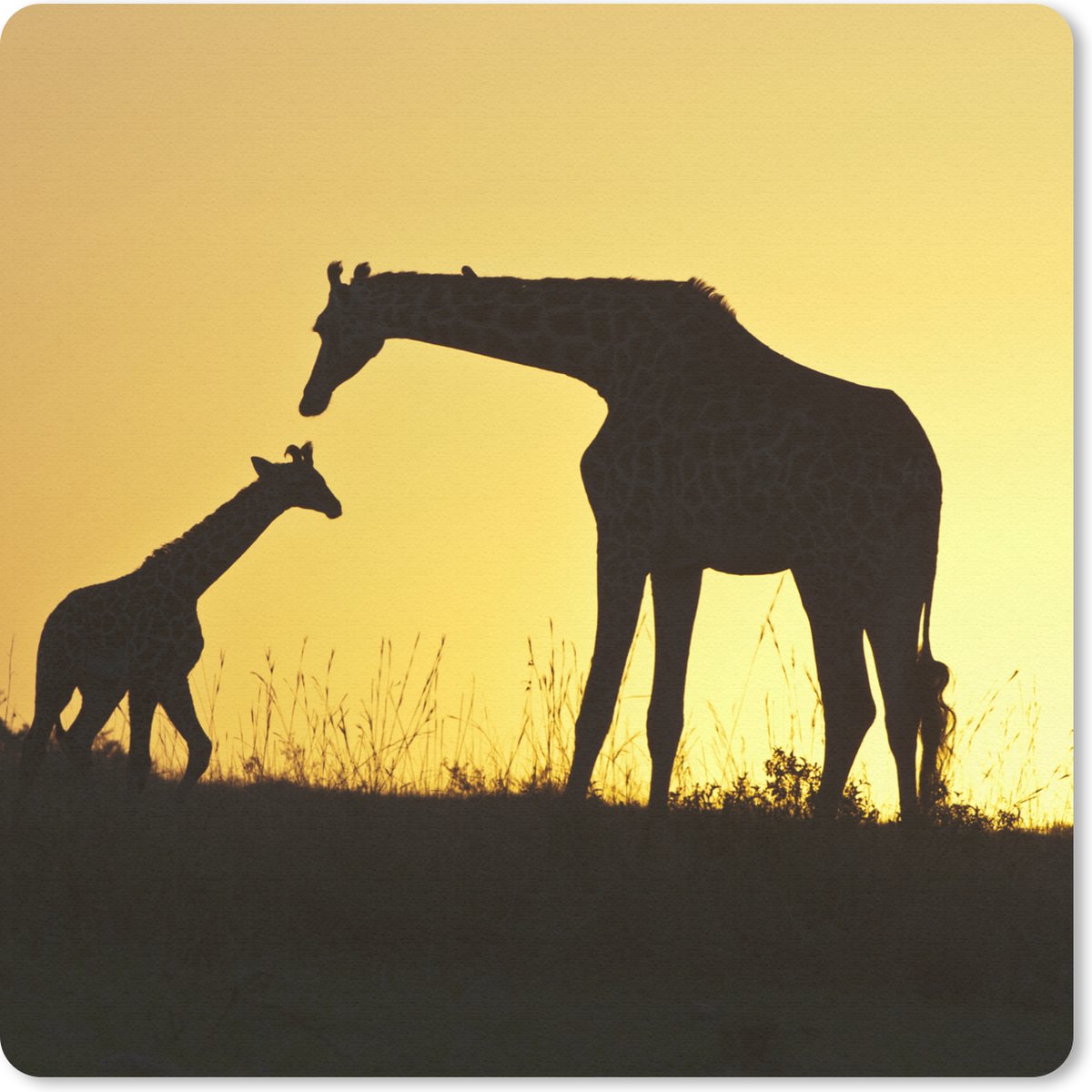 Muismat 30x30 cm - Mousepad Giraffe - Silhouet - Kalf - Muismatten