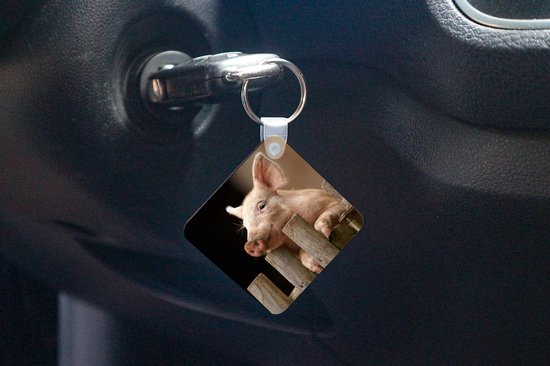 Porte-clés - Cochon - Animal - Clôture - Plastique