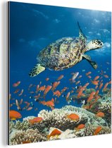 Décoration murale Métal - Peinture Aluminium - Barrière de Corail avec Tortue - 20x20 cm