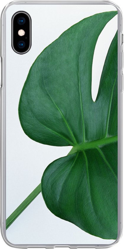 iPhone Xs hoesje - Botanische gatenplant op een lichtgrijze achtergrond - Siliconen Telefoonhoesje
