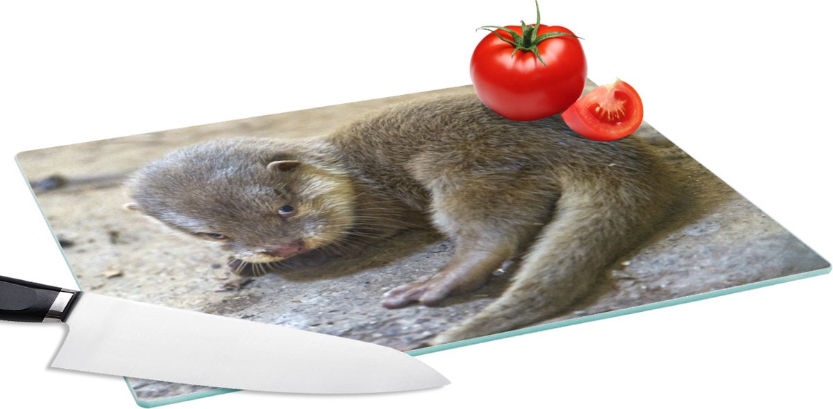 Glazen Snijplank - 39x28 - Otter - Baby - Water - Snijplanken Glas
