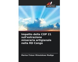 Impatto della COP 21 sull'estrazione mineraria artigianale nella RD Congo