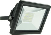 Prolight LED Straler - LED Projector Lamp - Schijnwerper - Waterbestendig - Met Bewegingssensor - 30W