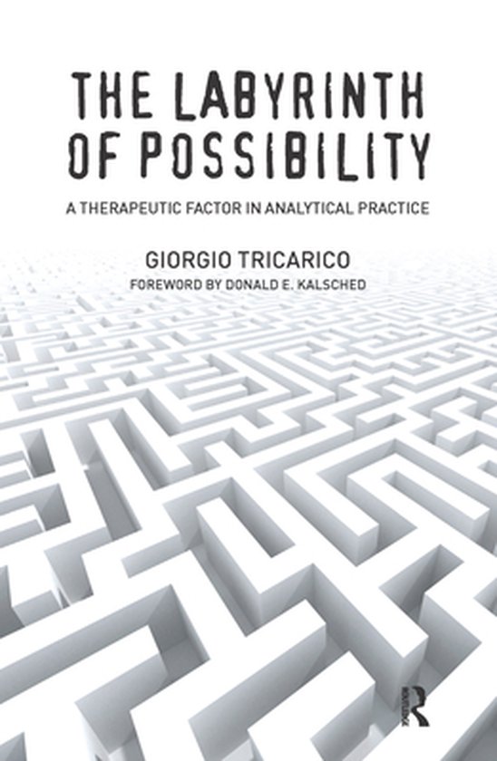 The Labyrinth of Possibility - cover