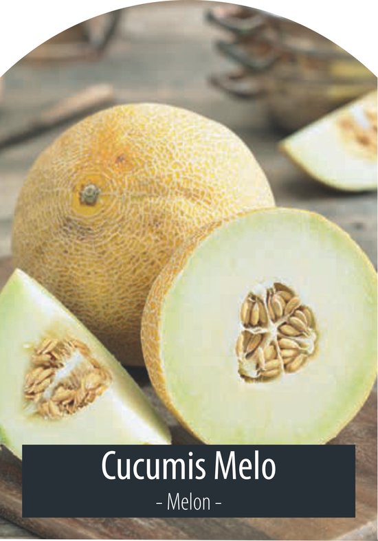 Fruitzaden - Meloen - Cucumis Melo - Inclusief Handleiding