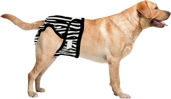 Foto: Loopsheidbroekje hond zebra maat xxl voor hele grote honden herbruikbaar hondenbroekje hondenluier loopsheid ongesteldheid taille omvang 69 80 cm milieuvriendelijk verantwoord perfecte pasvorm