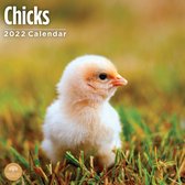 Kuikens Kalender 2022