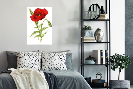 Illustration Vintage d'une affiche fleur rouge papier 40x60 cm - Tirage photo sur Poster (décoration murale salon / chambre) / Poster Fleurs