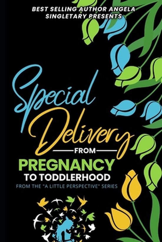 A Little Perspective- Special Delivery From Pregnancy to Tod ... - cover