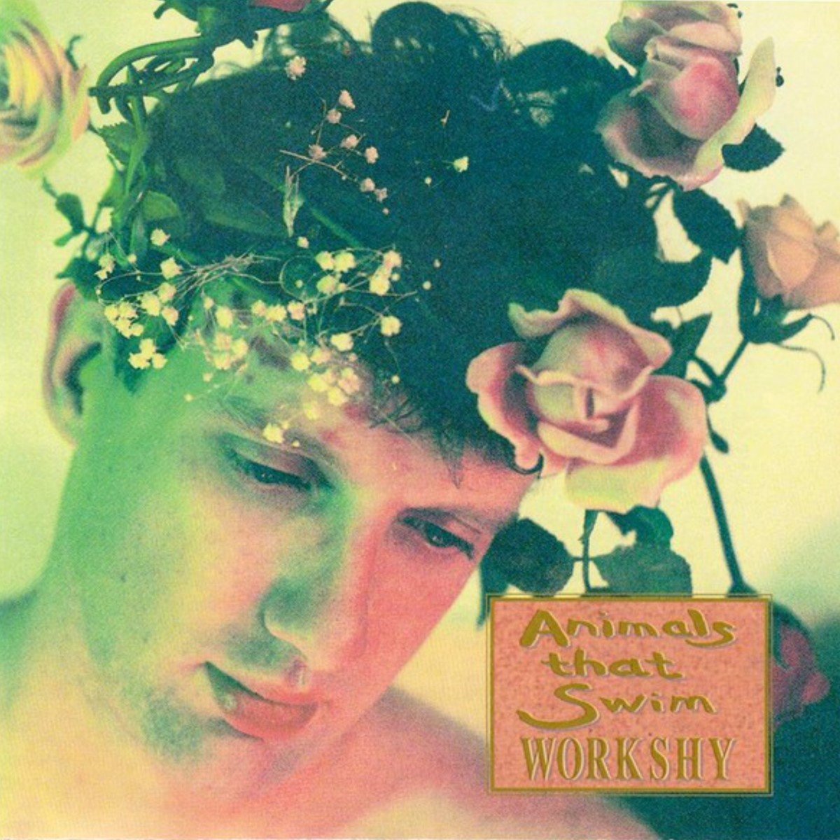 Animals That Swim - Workshy (CD) (Limited Edition) (Remastered)