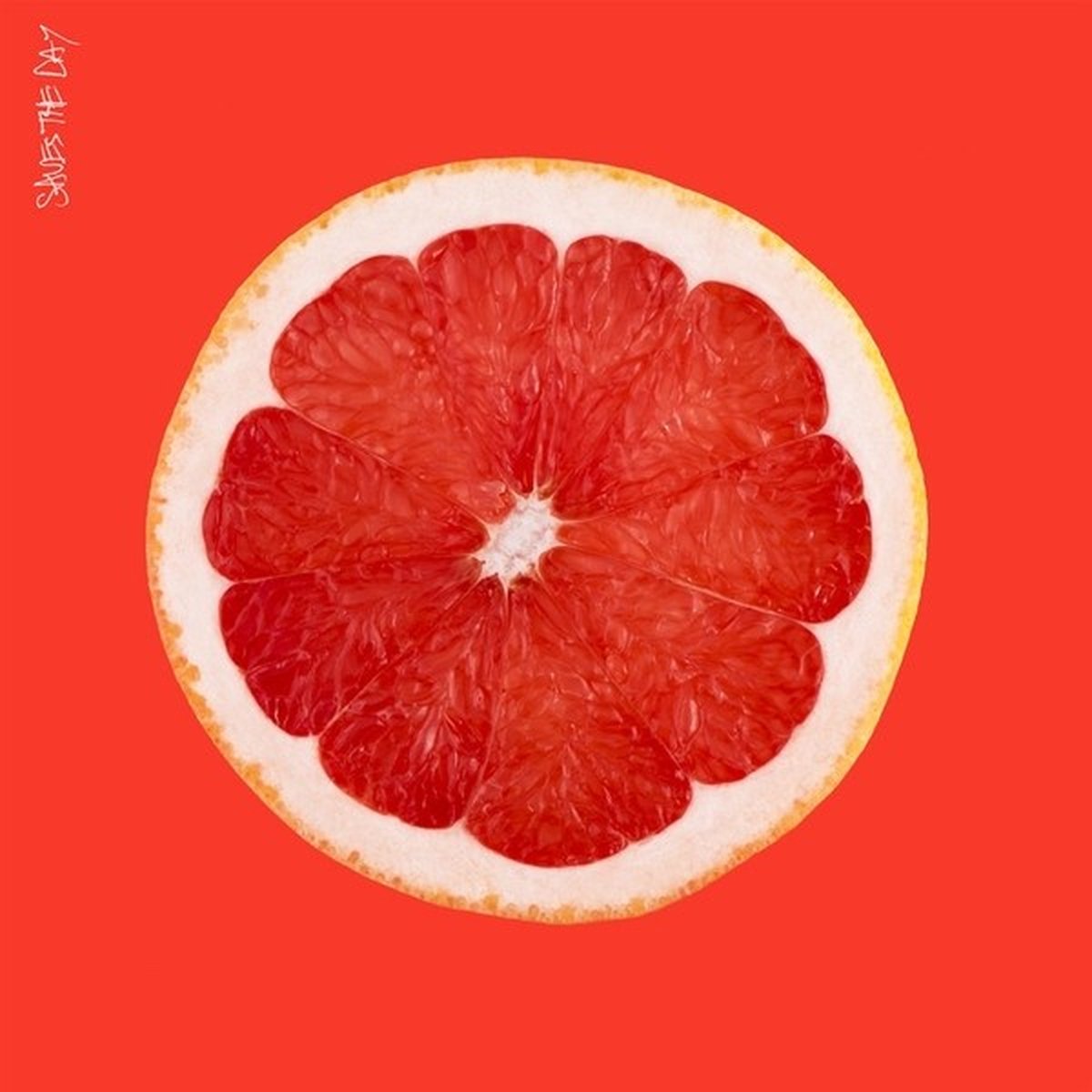 Saves The Day - Saves The Day (CD)