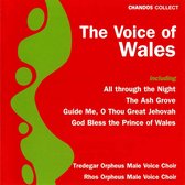Voice Of Wales