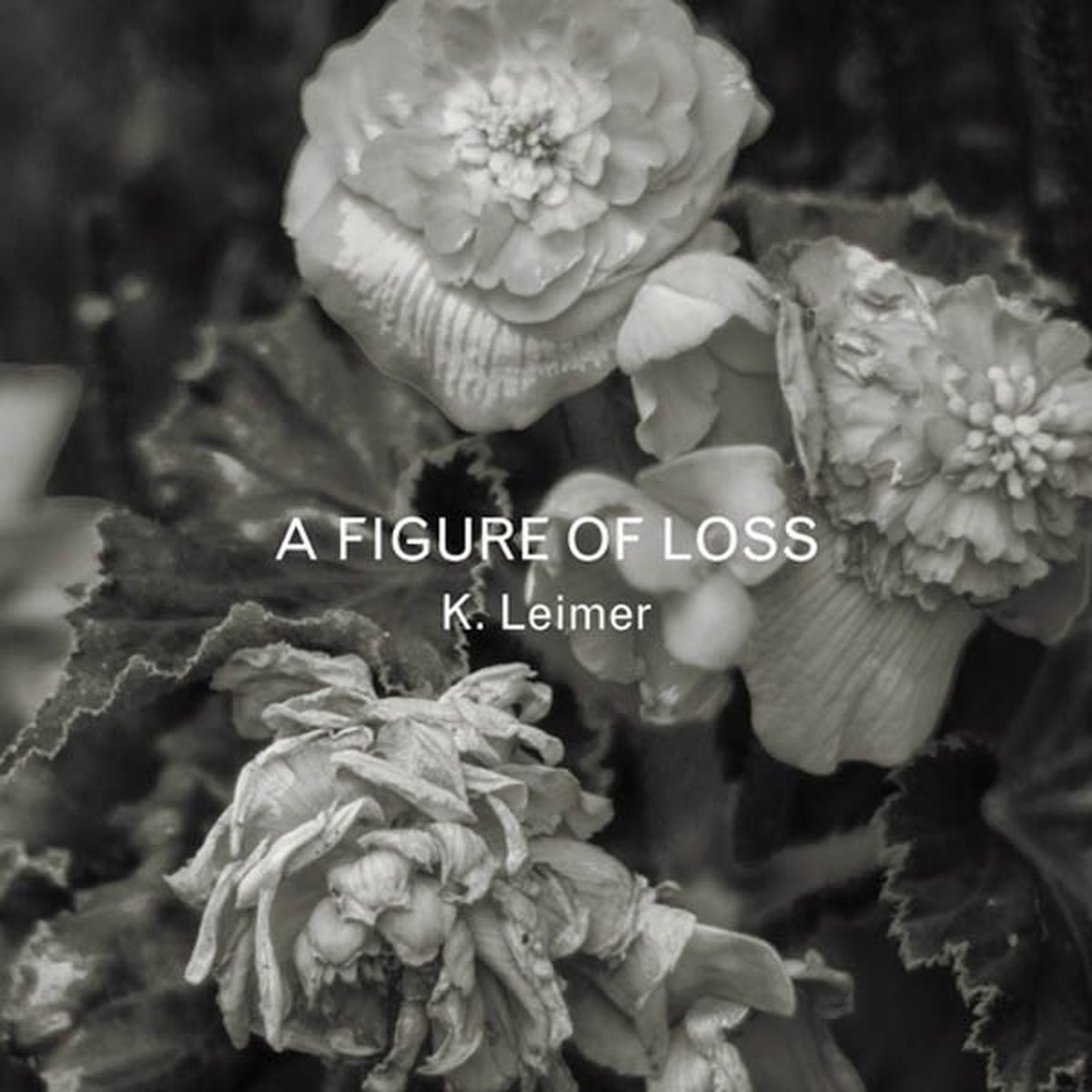 K. Leimer - A Figure Of Loss (CD)
