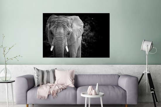 Éléphant noir et blanc Aluminium 180x120 cm - Tirage photo sur Aluminium ( décoration... | bol.com