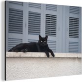 Chat noir au repos Aluminium 60x40 cm - Tirage photo sur aluminium (décoration murale métal)