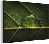 Wanddecoratie Metaal - Aluminium Schilderij Industrieel - Foto van waterdruppel op een botanisch blad - 150x100 cm - Dibond - Foto op aluminium - Industriële muurdecoratie - Voor de woonkamer/slaapkamer