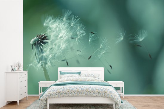 Graines de fotobehang de pissenlit