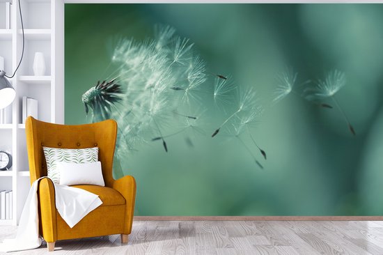 Graines de fotobehang de pissenlit