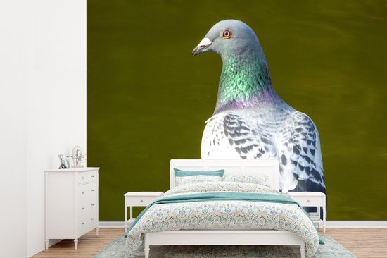 Papier peint photo vinyle - Un portrait d'un pigeon sur l'herbe verte largeur 485 cm x hauteur 350 cm - Tirage photo sur papier peint (disponible en 7 tailles)