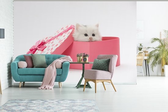 Papier peint photo vinyle - Un gros plan d'un chaton d'un présent largeur 450 cm x hauteur 300 cm - Tirage photo sur papier peint (disponible en 7 tailles)