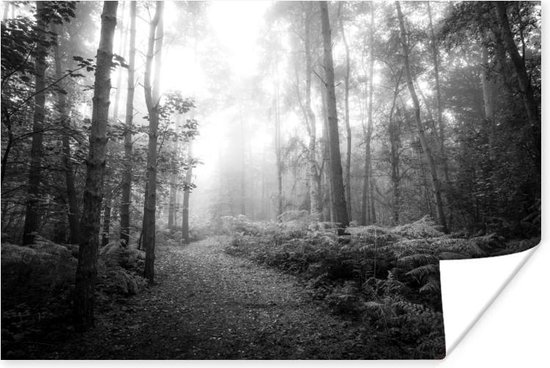 Poster XXL Forêt en noir et blanc