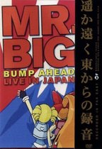 Mr. Big - Bump Ahead (Import)